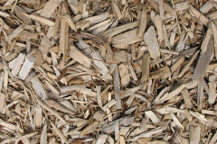 biomass boilers Sleights